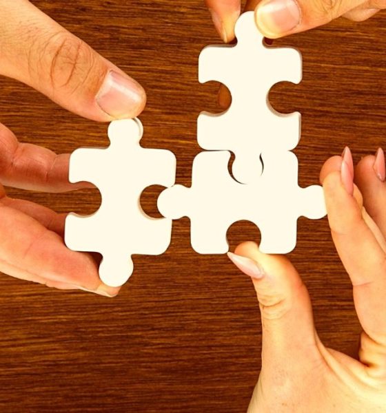 Cardano's Charles Hoskinson wants to work with Elon Musk to develop a Decentralized social media platform